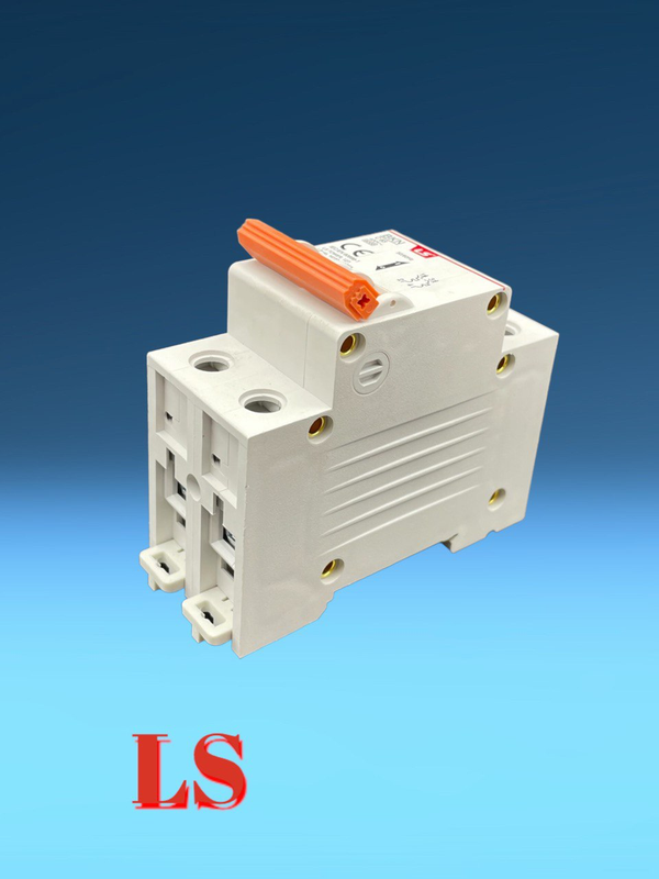 2 Pole circuit breaker LS 50A