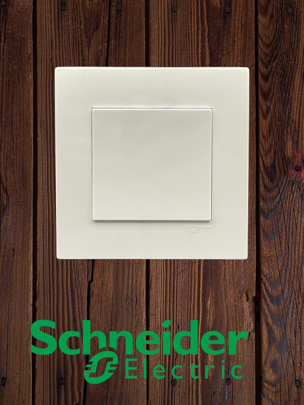 Blanck plate Schneider Vivace
