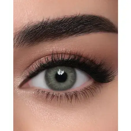 Lens Me Sugar Gray Lenses &Lenses Solution Free