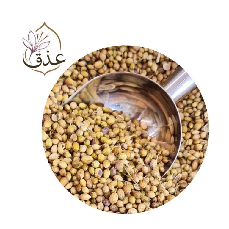 كزبرة حب 