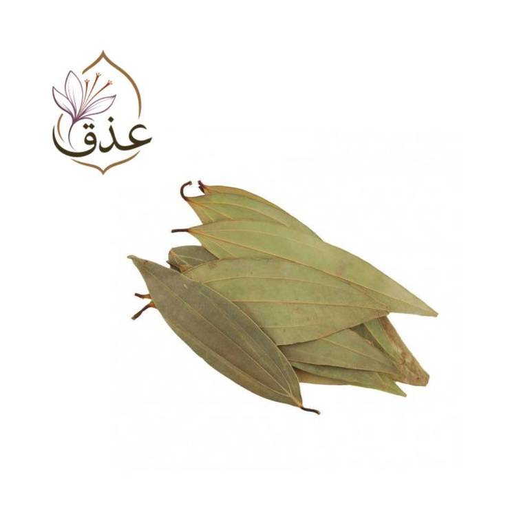 ورق غار