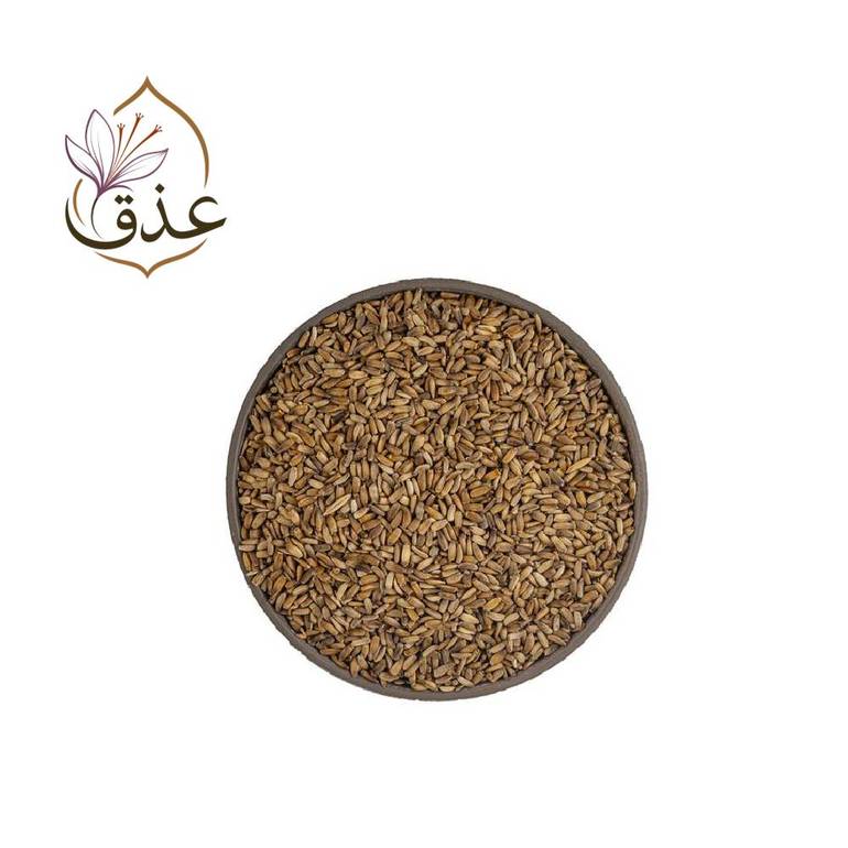 شوكة الجمل