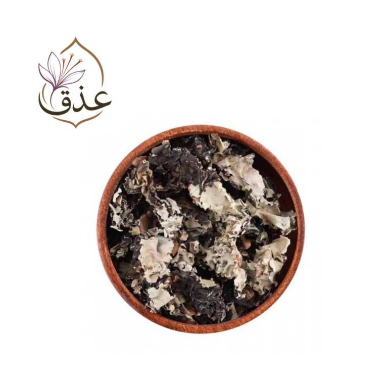 شيبة