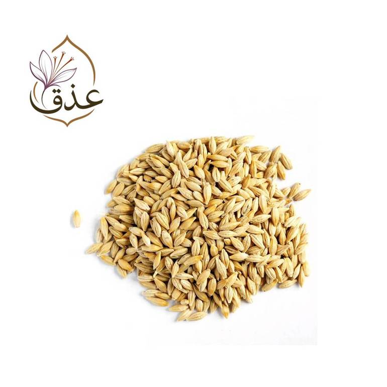 شعير حب