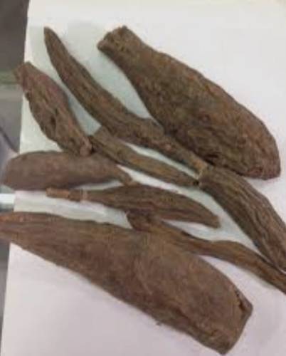 عود السليب