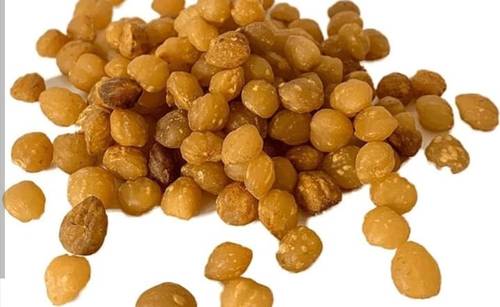 بذور الاكبي 
