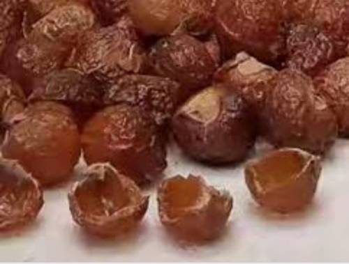 ريتة