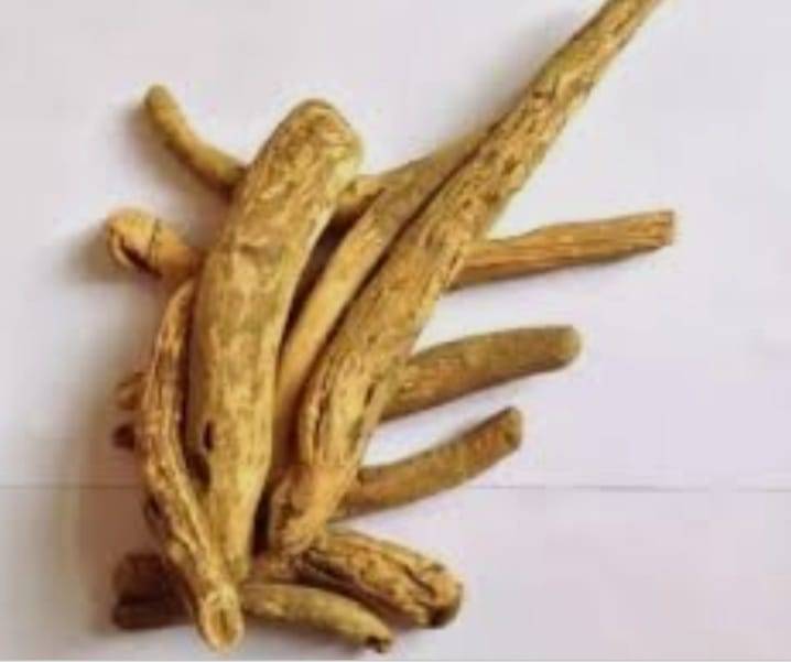 خشب رواند