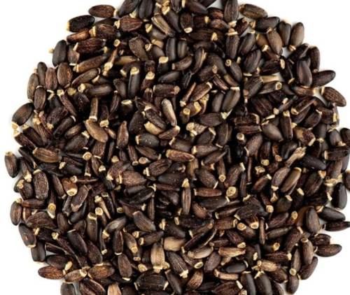 بذور شوك الجمل ( بذور حليب الشوك)