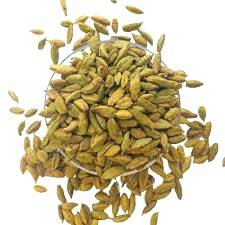 American Green Cardamom No. 3