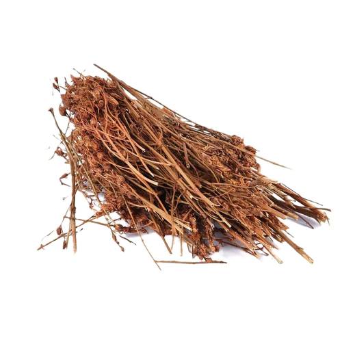 Saints herb