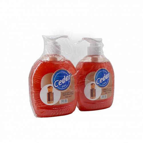 Cedar Oud Hand Wash - 2 pieces + 300 ml