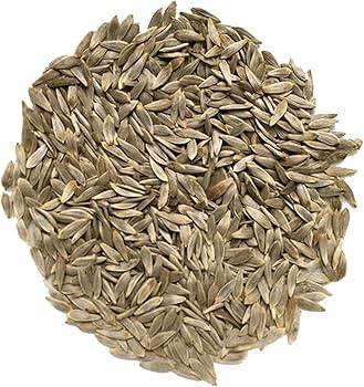 Lettuce seeds
