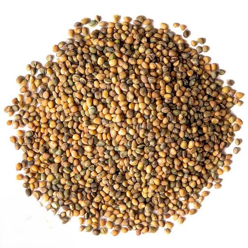 Watercress seeds