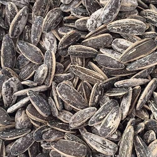 Salted sunflower seeds