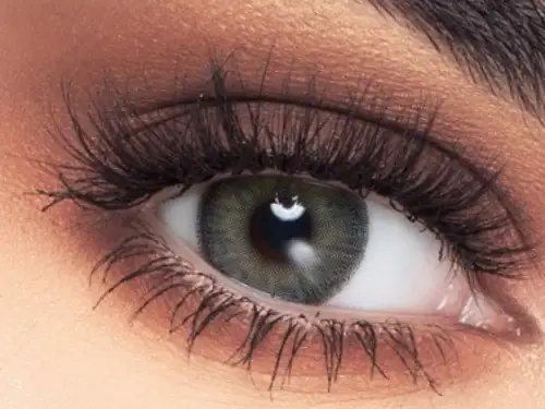 ماي لينس عدسات لاصقة تجميلية شهرية - اللون LIGHT GREEN