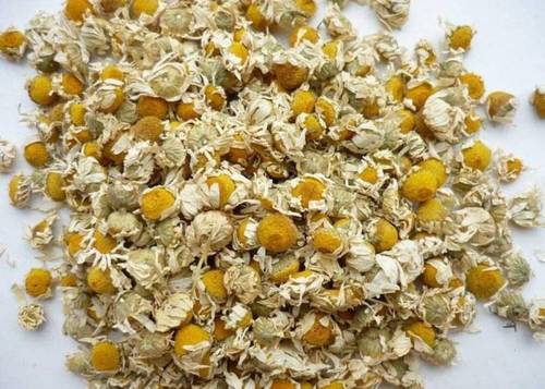 Chamomile