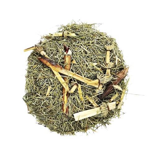 horsetail herb