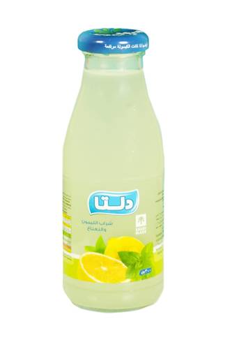Delta Lemon & Mint Drink 300ml