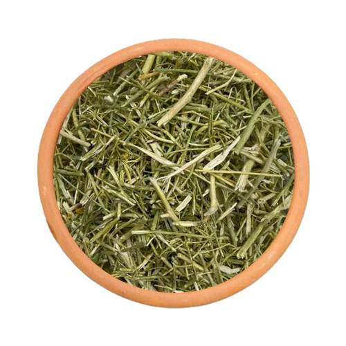 عشبة المدينة