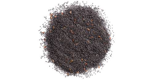 Purslane seeds