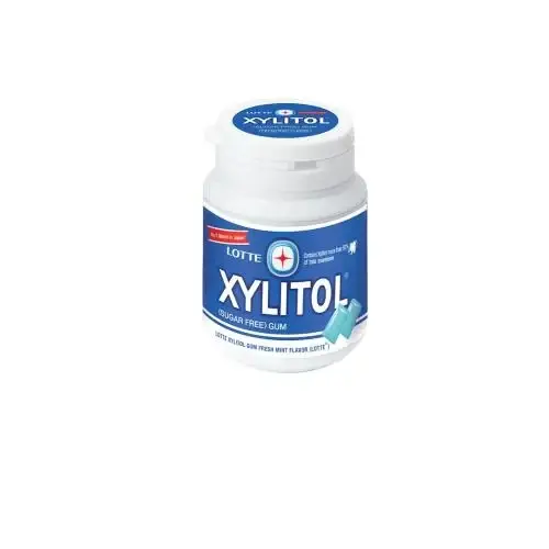 Lotte Xylitol Sugar-Free Mint Gum 58g