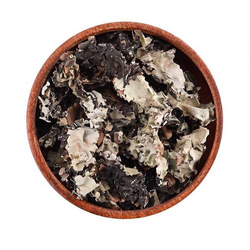 عشبة شيبة