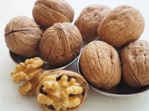 walnuts in shell