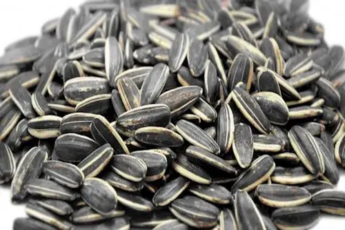 Medium salted sunflower seeds