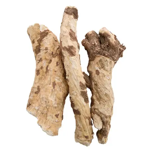 عود الحلبة ( عرق الحلبة )
