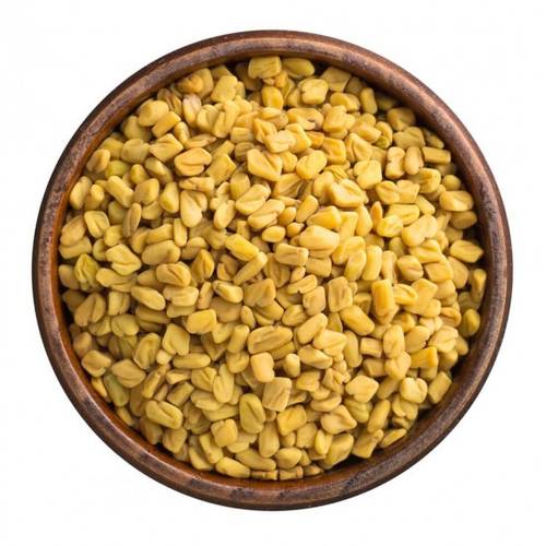 حلبة القصيم