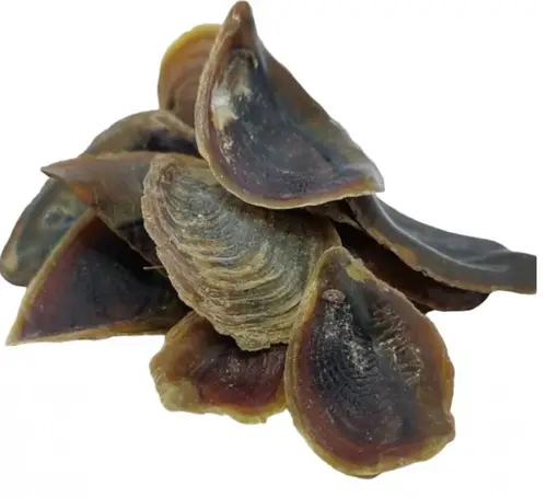 ظفر سنغالي