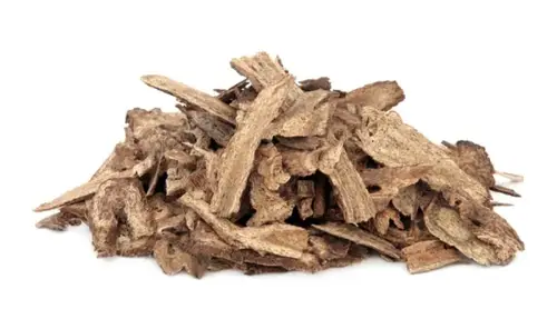 عود قسط بحري ابيض