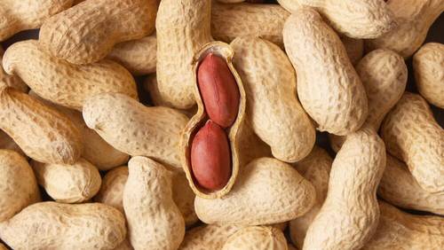 Peanuts in the shell