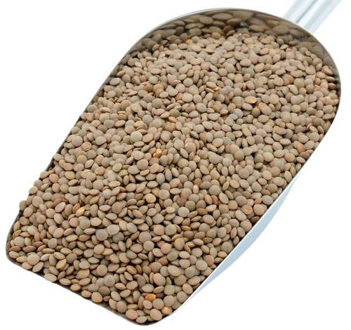 Black lentils
