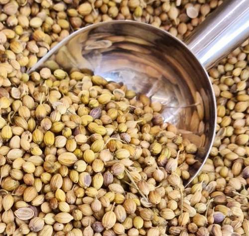 Coriander seeds