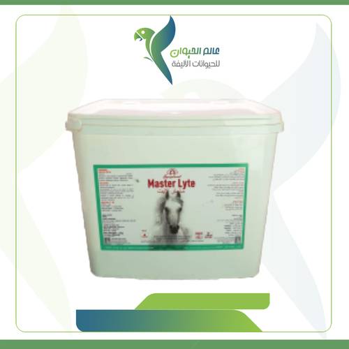ماستر لایت