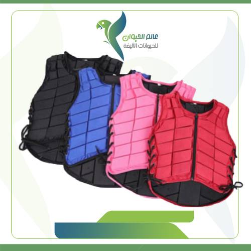 حماية صدر هورسيا 
