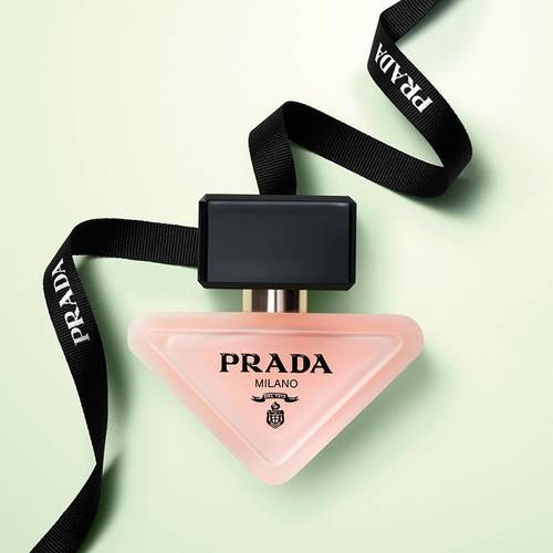 عطر الشعر برادا بارادوكس 