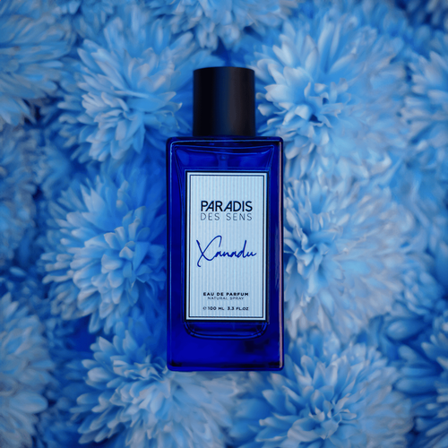 عطر براديس دي سنس اكسانادو