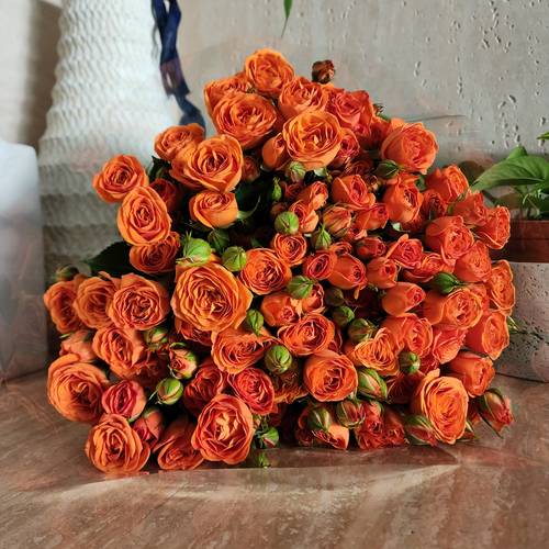 Spray roses orange