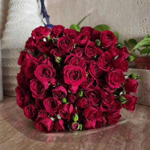 Red Spray roses 