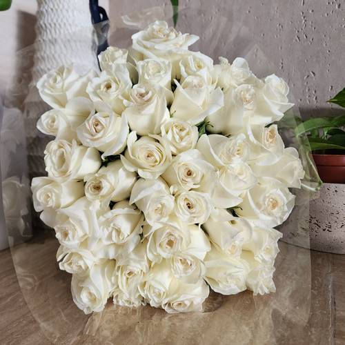 White roses