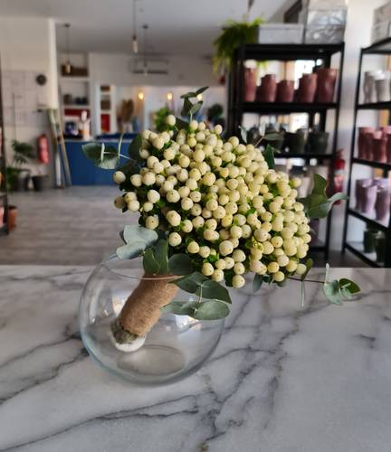Hypericum bridal bouquet 60  stems  