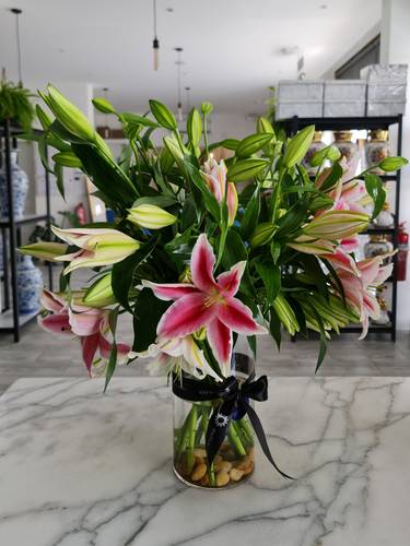 فازه زجاج 15 غصن كازابلانكا 