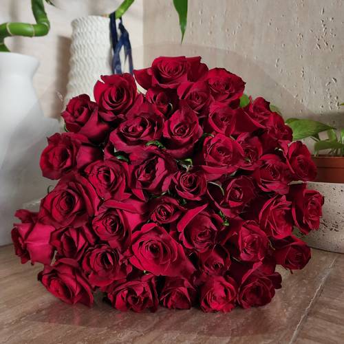 Red Roses