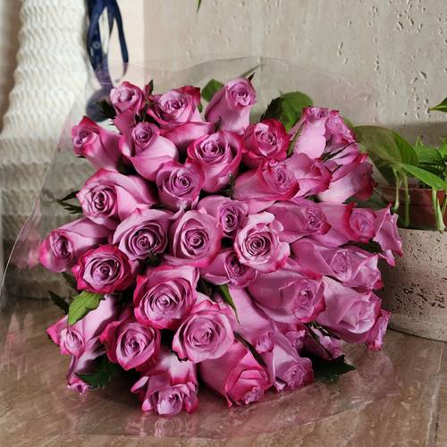 Double purple roses