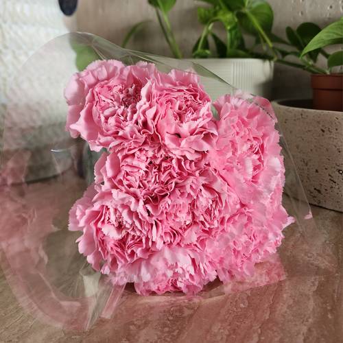 قرنفل وردي