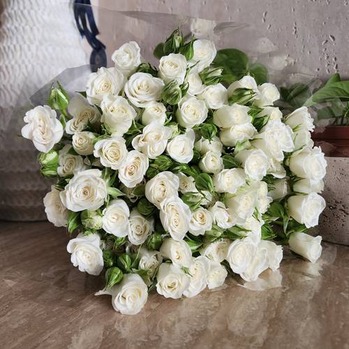 White Spray roses 