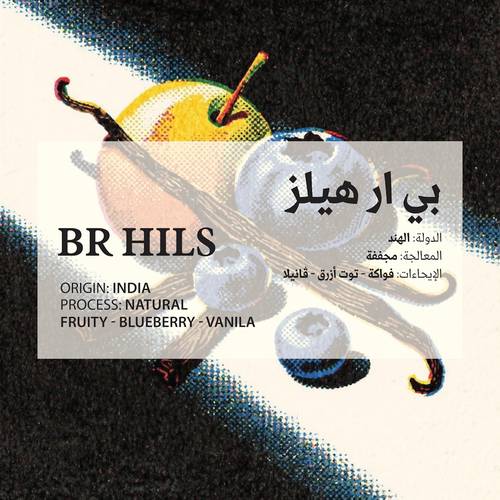 بي آر هيلس – BR HILS (INDIA)